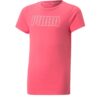 PUMA - T-shirt RT Favorites - rose